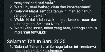 Ucapan selamat Natal 2024 dan Tahub Baru 2025 dengan Meta AI di aplikasi Whatsapp (dok suaranusantara.com)