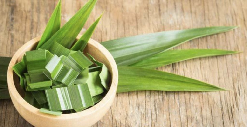Daun Pandan