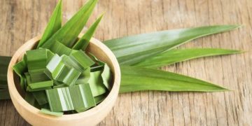 Daun Pandan