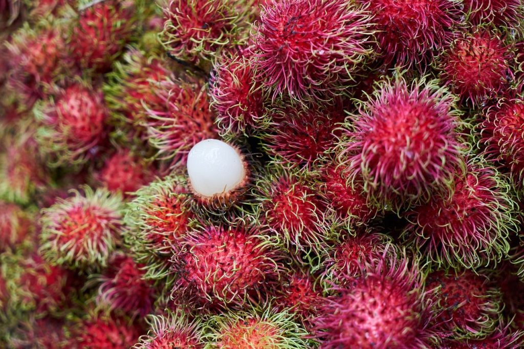 Buah Rambutan
