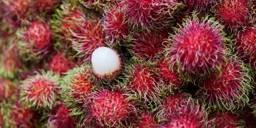 Buah Rambutan