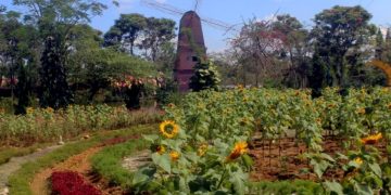 Taman Wisata Matahari