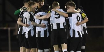 Newcastle vs Brighton