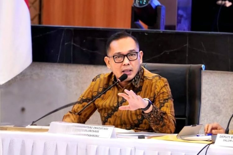Wakil Menteri Investasi/Wakil Kepala BKPM, Todotua Pasaribu (Dok Istimewa).