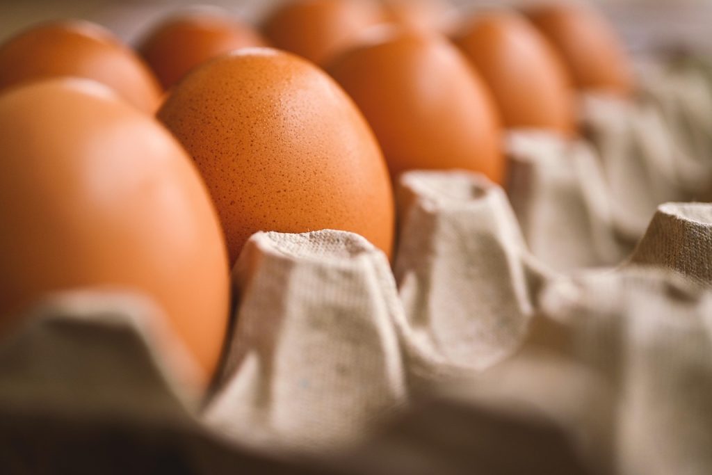 Tips Menyimpan Telur agar Tahan Lama dan Tidak Basi