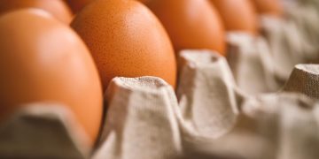 Tips Menyimpan Telur agar Tahan Lama dan Tidak Basi