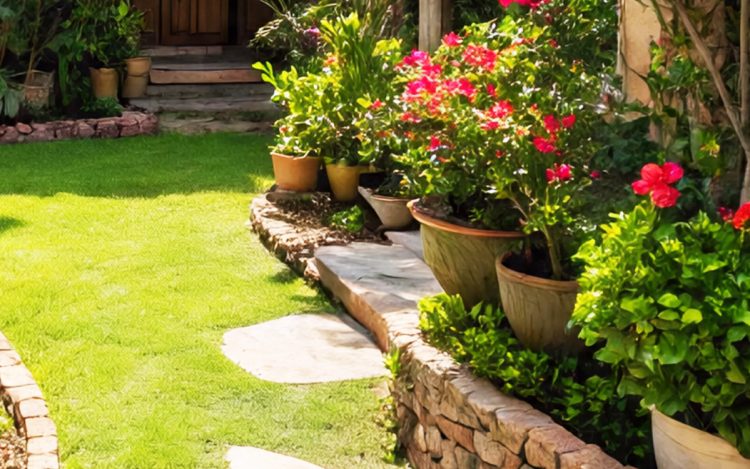 Tanaman Hias Paling Tahan Panas