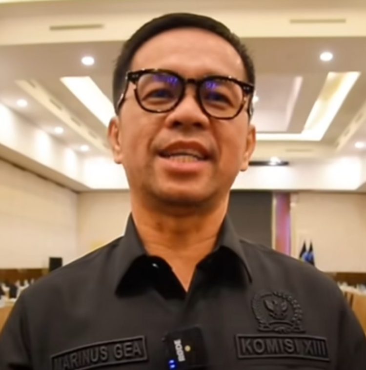 Anggota Komisi XIII DPR RI, Marinus Gea (Dok Instagram @marinus_gea).