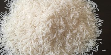 Dari Tampilan hingga Aroma, Begini Cara Deteksi Beras Oplosan