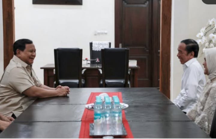Presiden ke 7 RI Joko Widodo atau Jokowi soal amnesti Hasto Kristiyanto dan abolisi untuk Tom Lembong oleh Presiden RI Prabowo Subianto (instagram @prabowo)