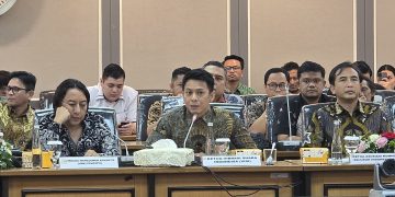 Perwakilan dari organisasi musisi Vibrasi Suara Indonesia (VISI) Nazril Irham alias Ariel Noah meminta pemerintah untuk menyatakan bahwa penyanyi atau pelaku pertunjukan tak perlu bertanggung jawab atas royalti hak cipta ketika membawakan lagu dalam pertunjukan.