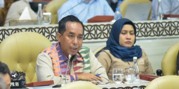 Anggota Komisi V DPR RI, Mori Hanafi (Dok Fraksi NasDem)