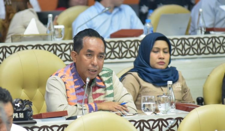 Anggota Komisi V DPR RI, Mori Hanafi (Dok Fraksi NasDem)