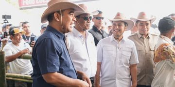 Ahmad Muzani dorong anak muda ternak sapi