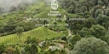 Salah satu tempat wisata di Bogor, Pinus Ecopark Camping Ground untuk liburan Nataru 2026 (Instagram @pinusecopark_official)