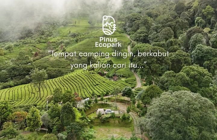 Salah satu tempat wisata di Bogor, Pinus Ecopark Camping Ground untuk liburan Nataru 2026 (Instagram @pinusecopark_official)