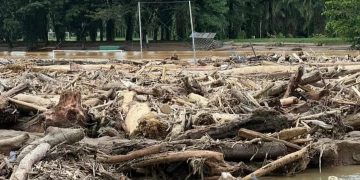 Banjir Sumatera-Aceh turut serta menyapu kayu gelondongan (instagram @situbondoinfo)