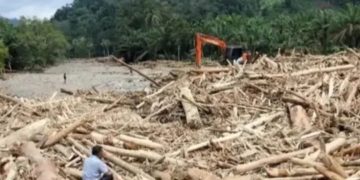 Kayu gelondongan ikut terbawa arus banjir Sumatera-Aceh (Instagram @caprighaz)