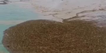 Foto penampakan kayu gelondongan yang ikut terseret arus banjir Sumatera-Aceh (Instagram @voxnetizens)