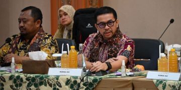 Anggota Komisi XIII DPR RI, Marinus Gea, soal komika Pandji Pragiwaksono (Dok Instagram Marinus Gea)