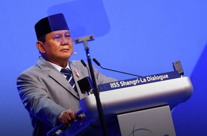 Presiden RI Prabowo Subianto terjunkan 8000 prajurit TNI ke Gaza (Instagram @unexplnd)