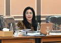 Rieke Diah Pitaloka, Anggota DPR RI Komisi XIII