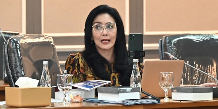 Rieke Diah Pitaloka, Anggota DPR RI Komisi XIII