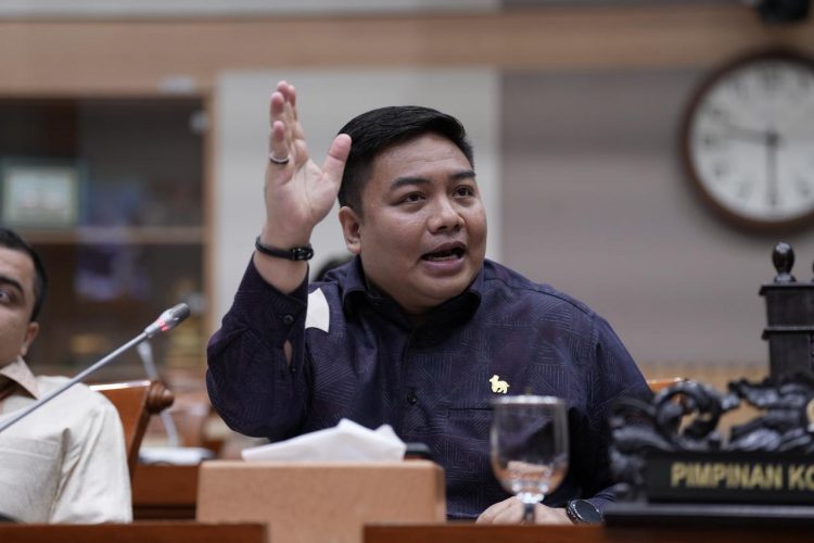 Ketua Umum Gerakan Ekonomi Kreatif Nasional (Gekrafs), Kawendra Lukistian soal kasus dugaan mark up proyek video profil desa yang menjerat Amsal Sitepu (Dok Fraksi Gerindra)
