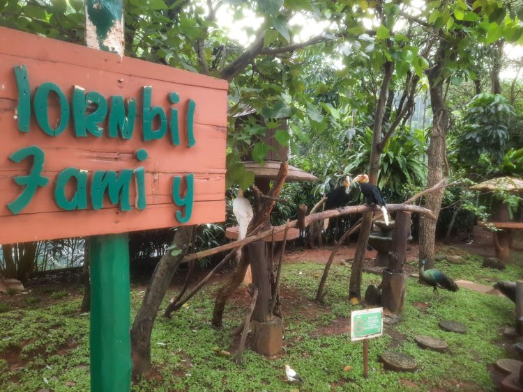 Jakarta Bird Land Ancol hadirkan promo menarik yang bisa dikunjungi saat momen libur lebaran 2026 (suaranusantara.com)