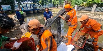 Pemkot Jakarta Selatan Tangkap 3 Ton Ikan Sapu-Sapu di Setu Babakan