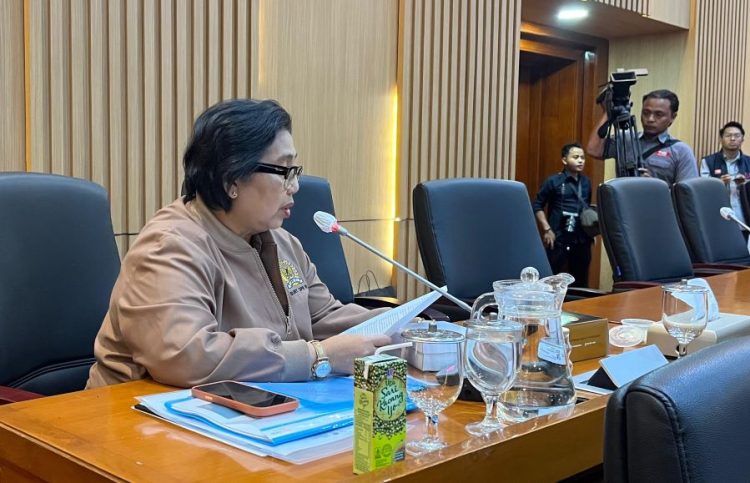 Anggota Komisi IX DPR RI, Irma Suryani soal MBG (Dok Fraksi NasDem)