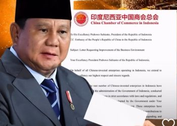 Kadin China bersurat ke Presiden RI Prabowo Subianto (Instagram @biangproject)