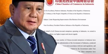 Kadin China bersurat ke Presiden RI Prabowo Subianto (Instagram @biangproject)