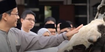Menkeu Purbaya sumbang sapi kurban Iduladha 2026 (Instagram @pakpurbayafans)