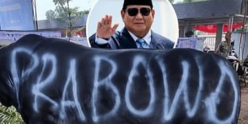 Ilustrasi sapi kurban Presiden RI Prabowo Subianto dibeli pakai APBN Rp 100 miliar (Instagram @manado.times)
