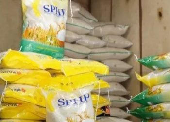 Harga beras SPHP tak naik meski di tengah Rupiah tertekan (Instagram @pemilenial)