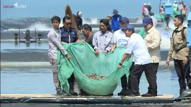 Presiden Prabowo Subianto saat menyaksinan Panen Raya Udang di Tambak Kebumen (Dok YouTube Sekretriat Presiden)