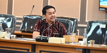 Anggota DPR RI Marinus Gea
