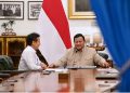 Menkes Budi Gunadi saat bertemu Presiden RI Prabowo Subianto (Instagram @sekretariat.kabinet)
