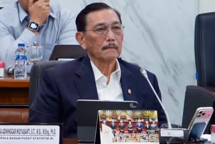 Ketua DEN Luhut Binsar Pandjaitan (Instagram @luhut.pandjaitan)