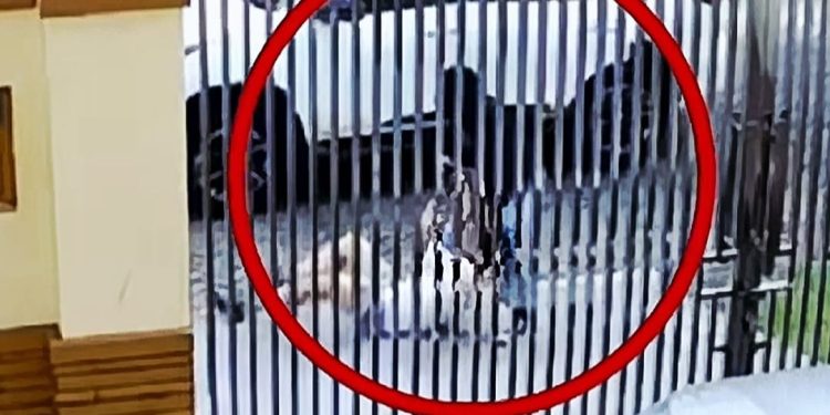 Polisi Identifikasi Dua Terduga Pelaku Percobaan Penculikan Lansia di PIK
