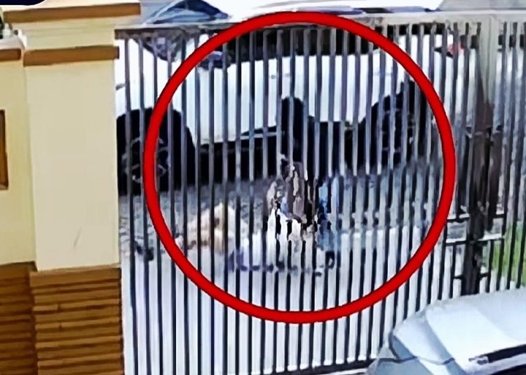 Polisi Identifikasi Dua Terduga Pelaku Percobaan Penculikan Lansia di PIK