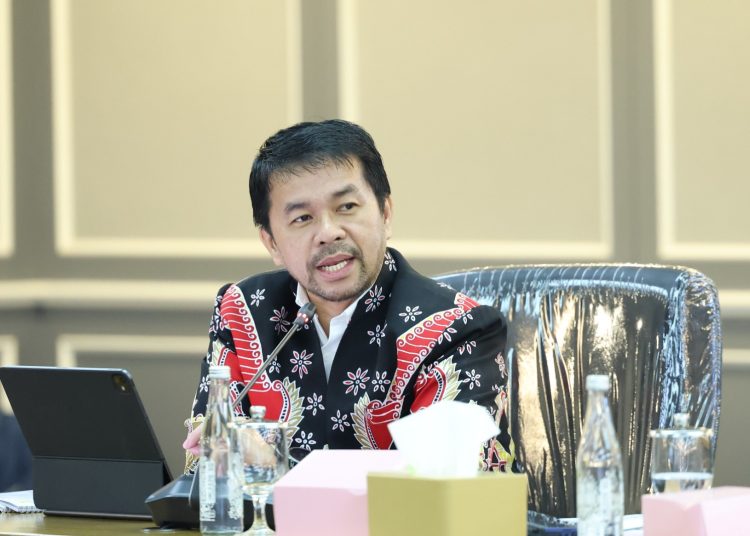 Anggota DPR RI Marinus Gea