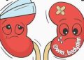 Ilustrasi sakit ginjal, kenali tandanya (Instagram @win_bodyslim)