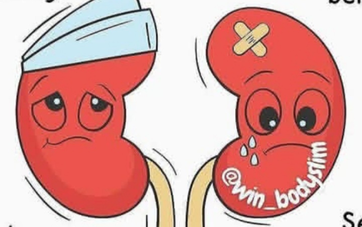 Ilustrasi sakit ginjal, kenali tandanya (Instagram @win_bodyslim)