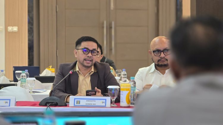 Anggota DPR RI Marinus Gea dorong Indonesia miliki UU AI