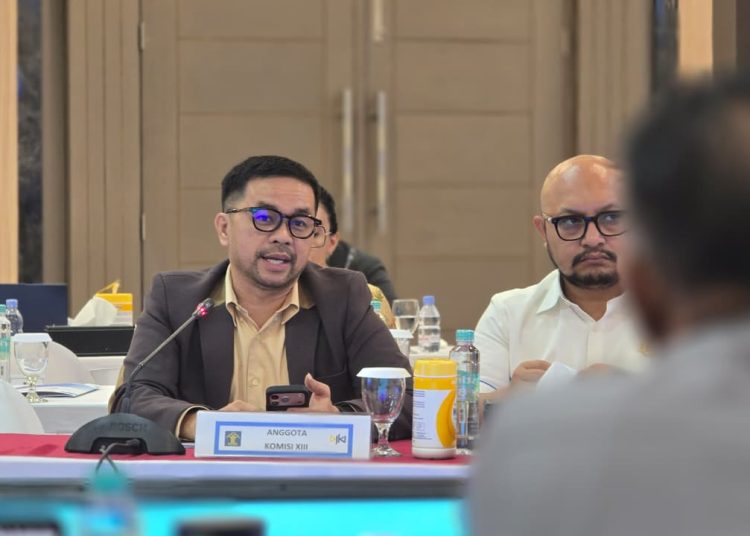 Anggota DPR RI Marinus Gea dorong Indonesia miliki UU AI