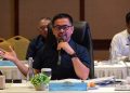 Anggota DPR RI Marinus Gea