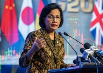 Sri Mulyani pimpin penggalangan dana negara miskin (Instagram @melihatindonesia.id)