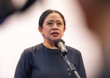 Ketua DPR RI Puan Maharani bicara soal Destry Damayanti diusulkan jadi calon tunggal Gubernur BI (Istimewa)